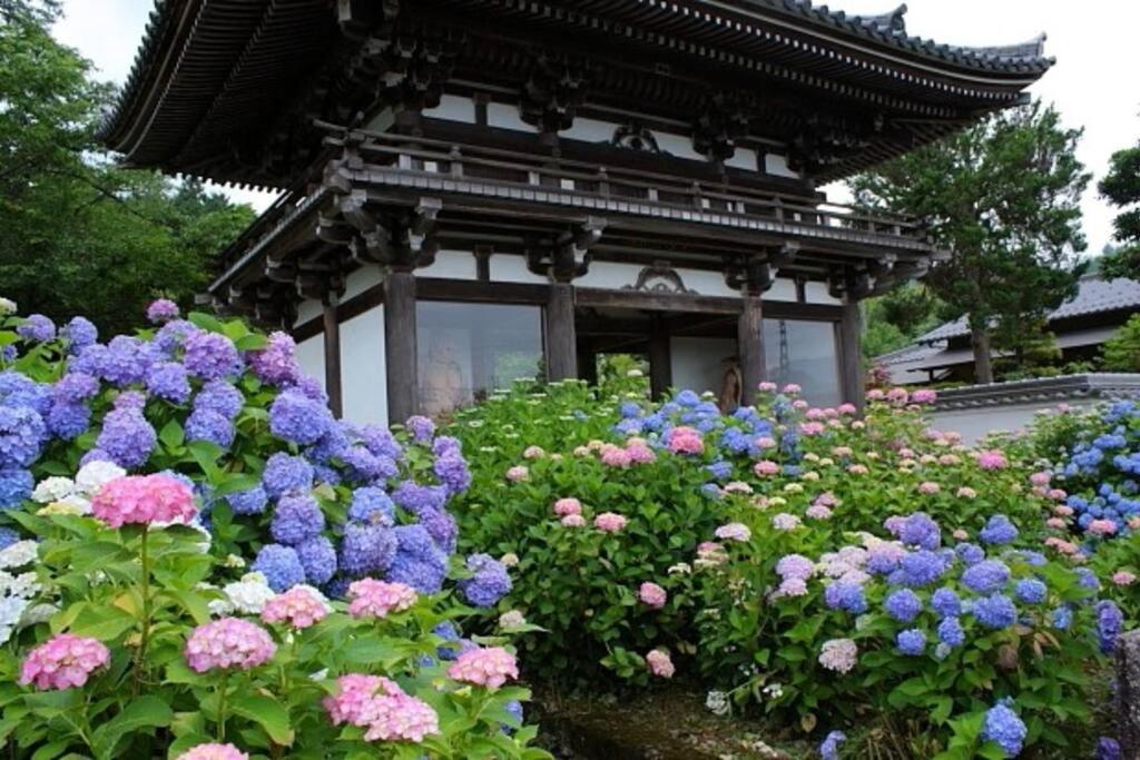 Sanzen Ya Kyoto さんぜんやきょうと- Cozy Art Space For Lover Of Travel - Eksteriør bilde
