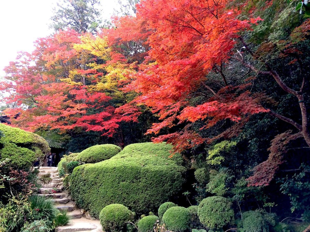 Sanzen Ya Kyoto さんぜんやきょうと- Cozy Art Space For Lover Of Travel - Eksteriør bilde