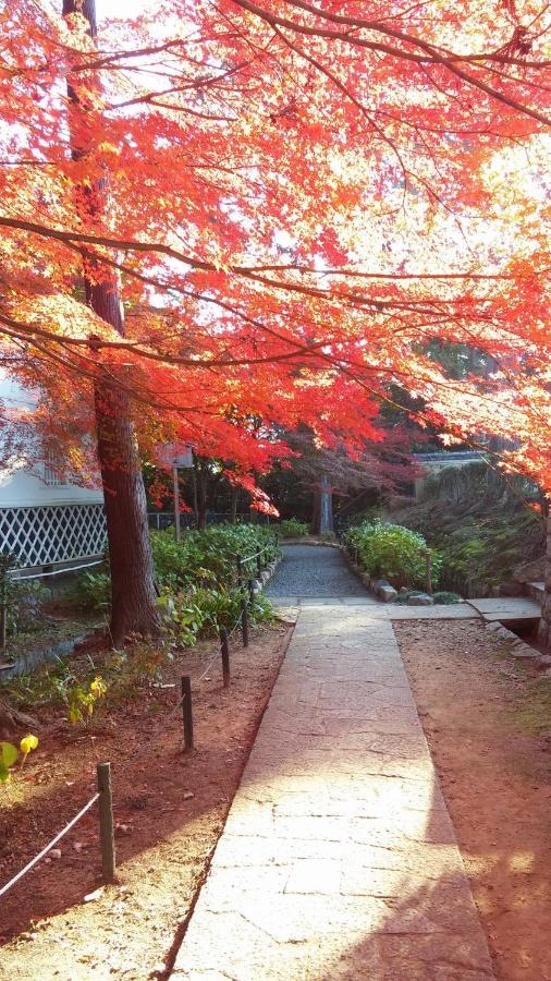 Sanzen Ya Kyoto さんぜんやきょうと- Cozy Art Space For Lover Of Travel - Eksteriør bilde