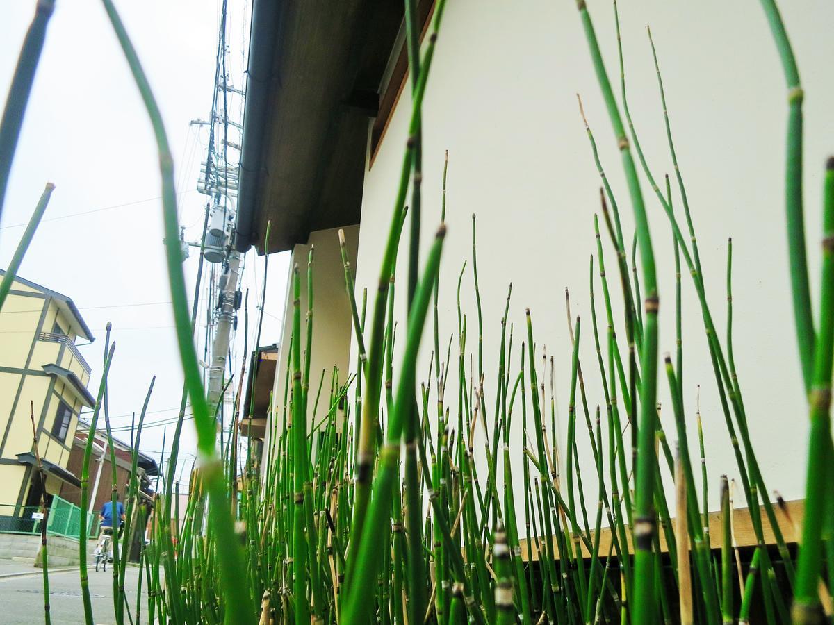 Sanzen Ya Kyoto さんぜんやきょうと- Cozy Art Space For Lover Of Travel - Eksteriør bilde